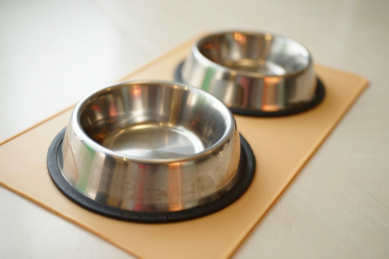 Stainless Steel Food Bowls